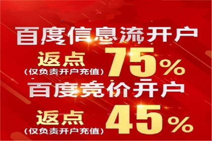 探索SEO在移动端的优化策略——成功案例分享